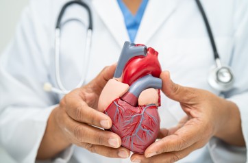  Cardiology Billing